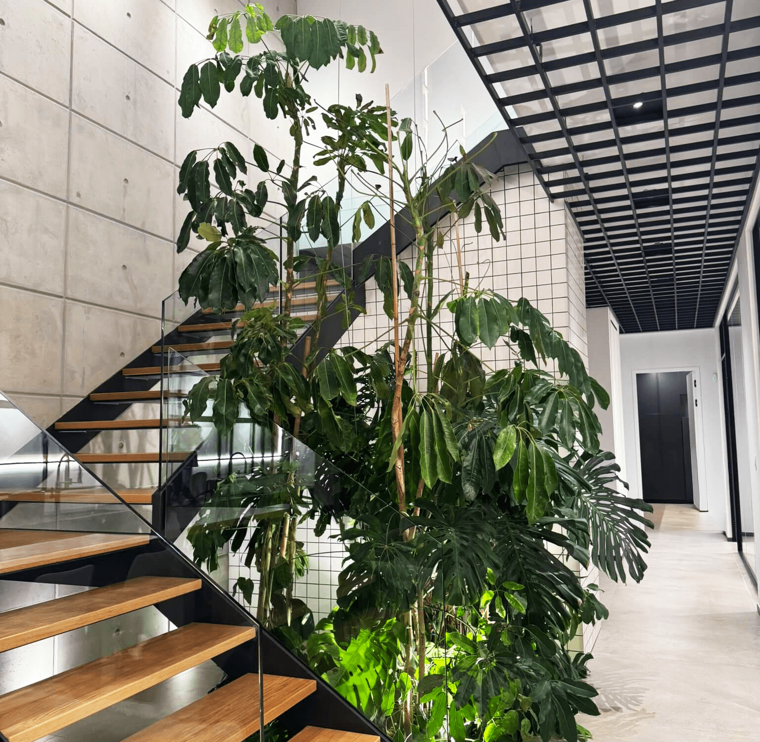 Hadjiloukas Construction Offices, Commercial interior design by Kivo Design House (4)